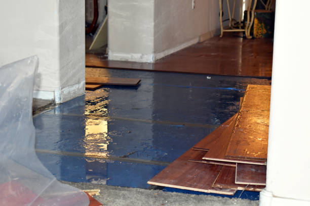 Professional Water Damage Restoration technician working in Newbury, OH